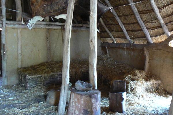 Reconstruction Neolithic farm