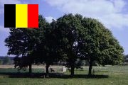 Wéris - België - Link