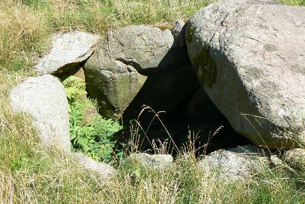 Dolmen Ravenborgsmarken (3) - Kamer, deksteen is verdwenen