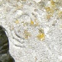 Detail: figuur op menhir